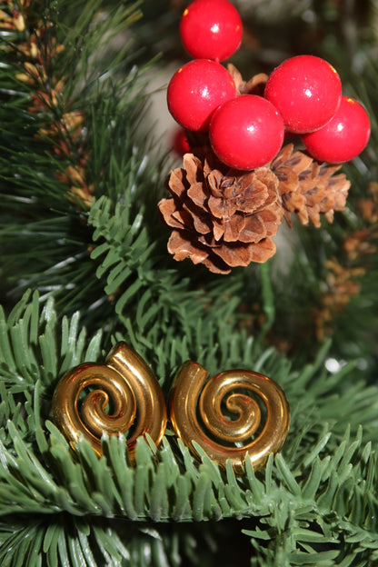 Radiant Spiral Earrings