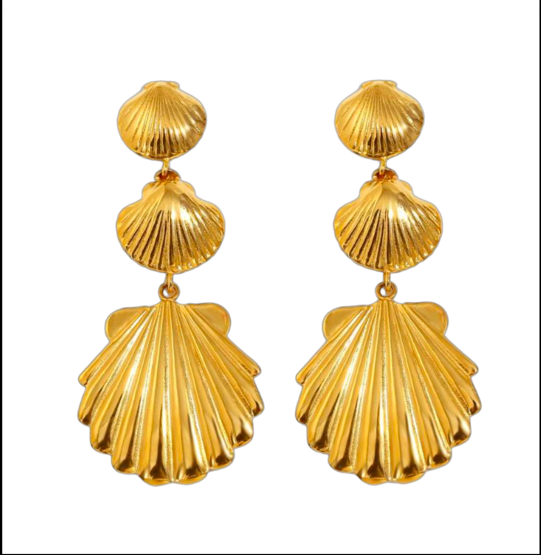 Shell Earrings